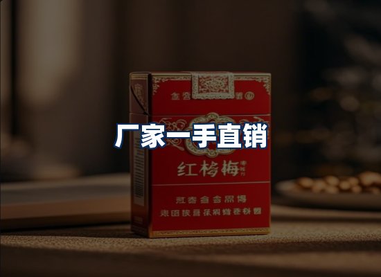 专业团队办公环境